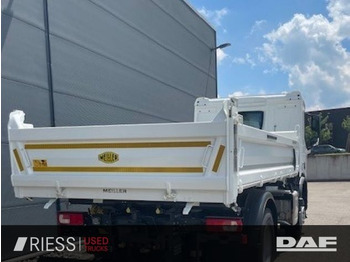 Новый Самосвал DAF XDc 450 SpurH KAM: фото 4