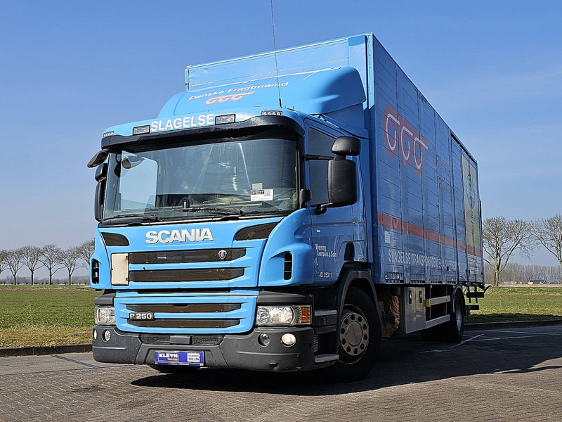 Scania P250 - Грузовик с закрытым кузовом: фото 1 Scania P250 - Грузовик с закрытым кузовом: фото 1