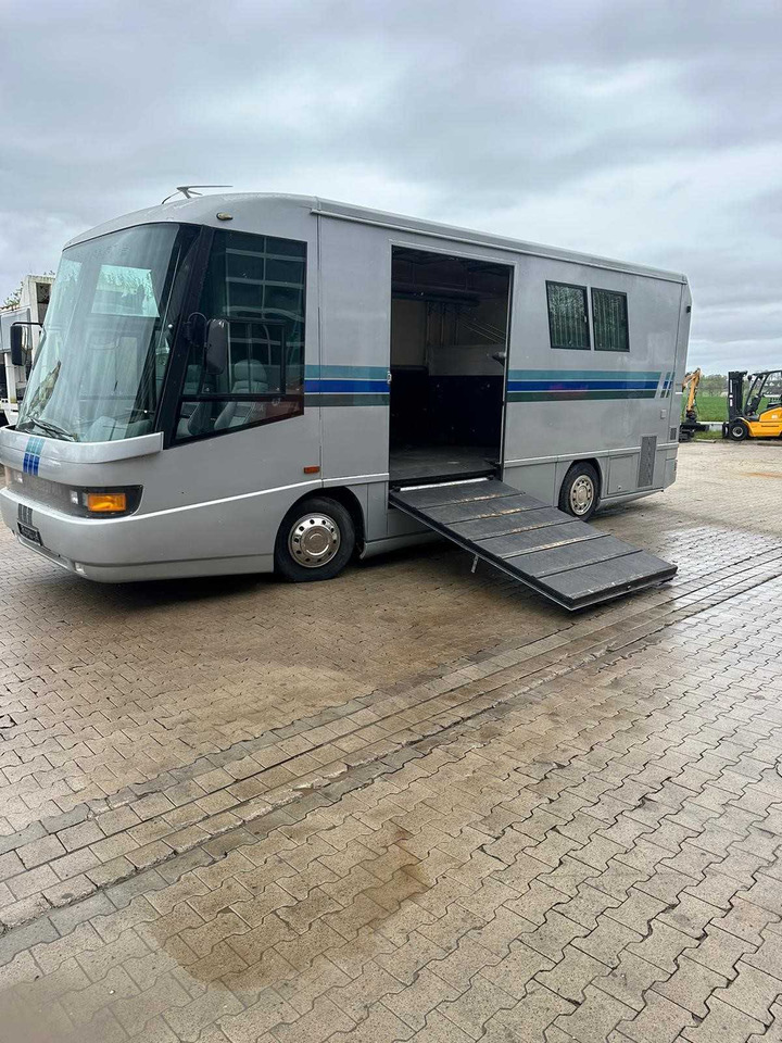 MAN Turnierpferde LKW - Коневоз: фото 1 MAN Turnierpferde LKW - Коневоз: фото 1