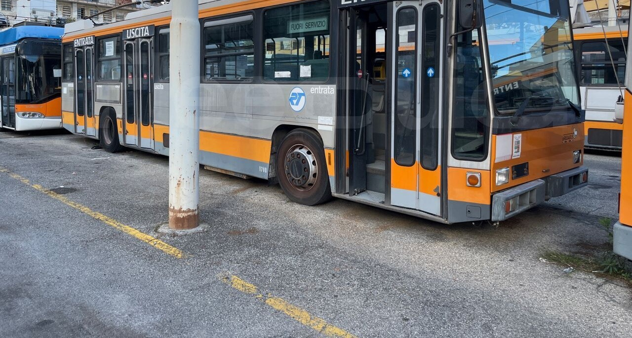 Breda Filobus 4401 - Городской автобус: фото 1 Breda Filobus 4401 - Городской автобус: фото 1