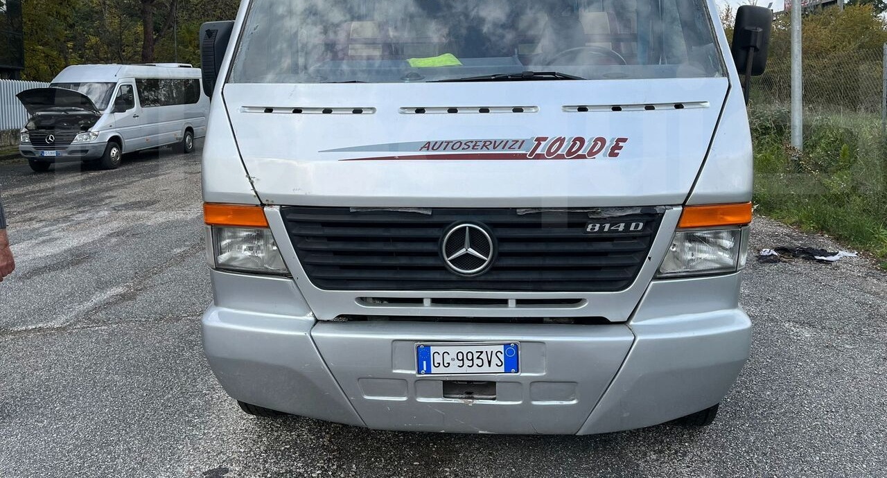 Mercedes-Benz Vario - Пригородный автобус: фото 1 Mercedes-Benz Vario - Пригородный автобус: фото 1