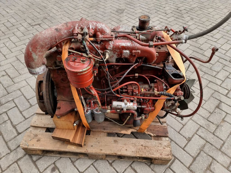 Fiat 8065-6 / FIAT F100 tractor - Двигатель для Сельскохозяйственной техники: фото 1 Fiat 8065-6 / FIAT F100 tractor - Двигатель для Сельскохозяйственной техники: фото 1